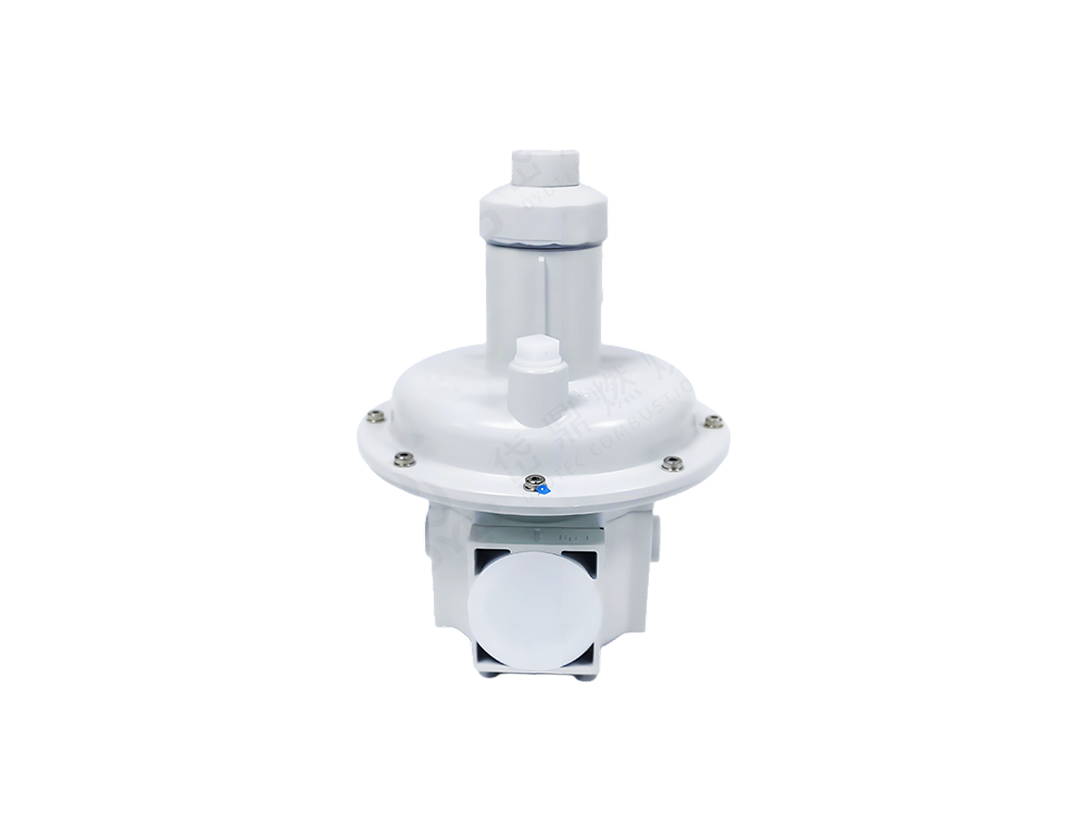 RPGR-C系列调压阀